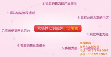 东丽网站建设 做网站就找天津星科电商 天津网站建设系统