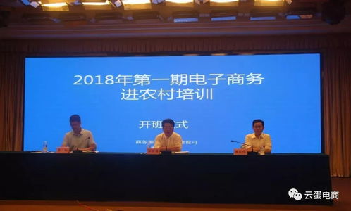 8月,陕西各县电商工作取得了哪些成果