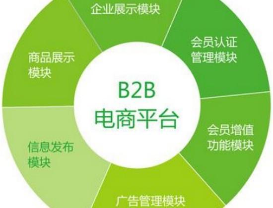 b2b电子商务的类型包括哪些
