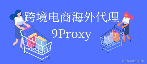 9proxy,跨境电商一站式解决方案