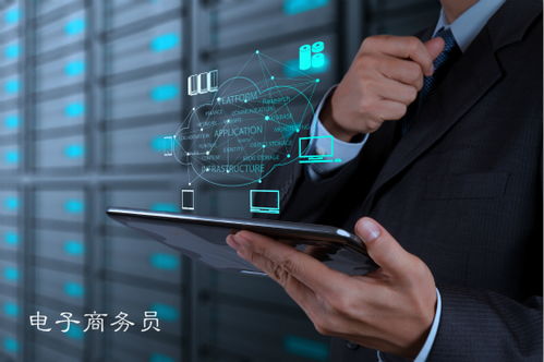 职位分析 电子商务员