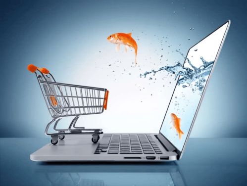 emarketer 2021年中国电商将首次超过实体零售