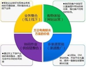 方正国际电子商务的发展与前景