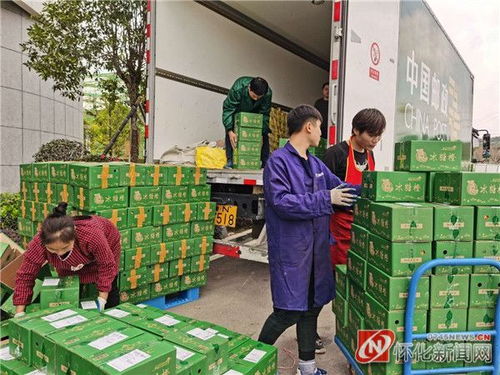 靖州双11销售繁忙 电子商务助力县域经济腾飞