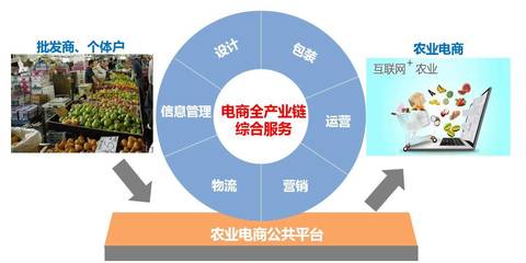 要定位,更要落地:县域农业电商“麻阳模式”初探